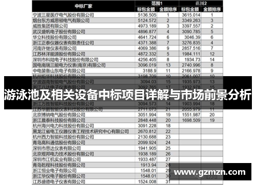 游泳池及相关设备中标项目详解与市场前景分析